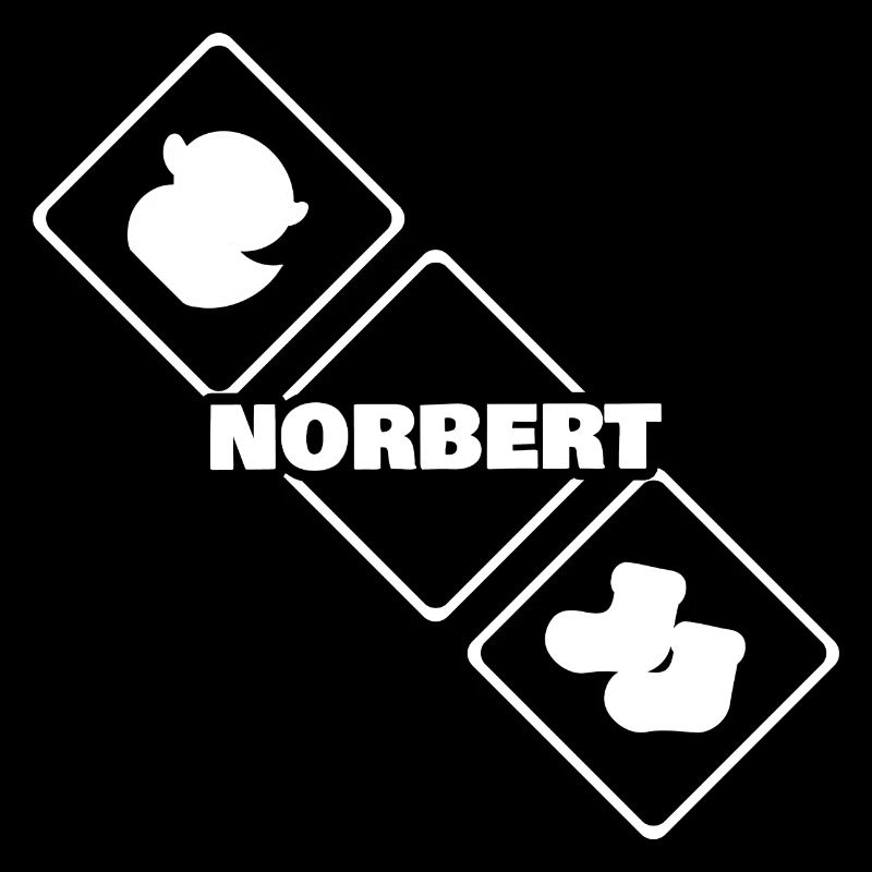 Naissance Norbert