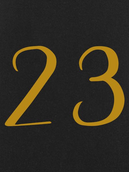 23