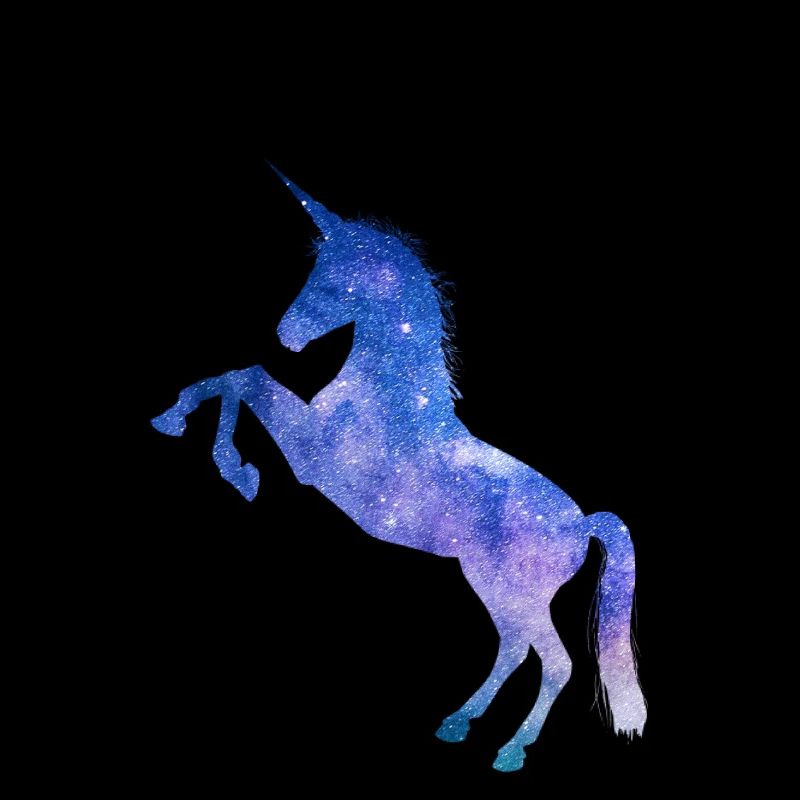 Galaxy space Unicorn