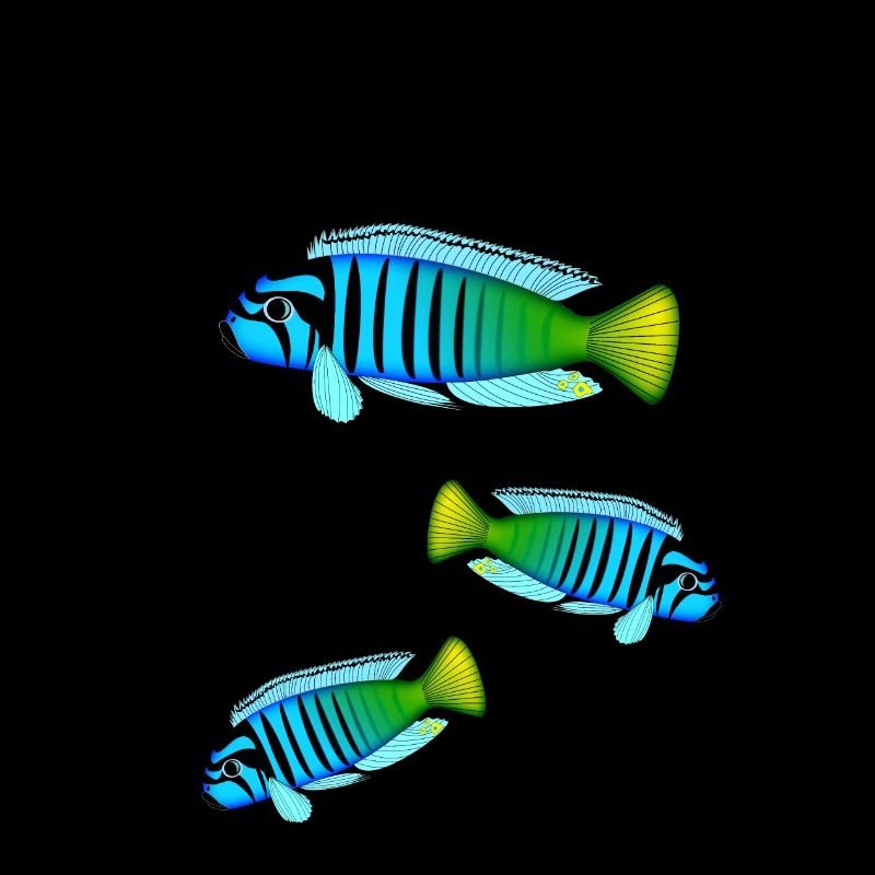 Perche Poisson Perche Colorée Malawi Africain