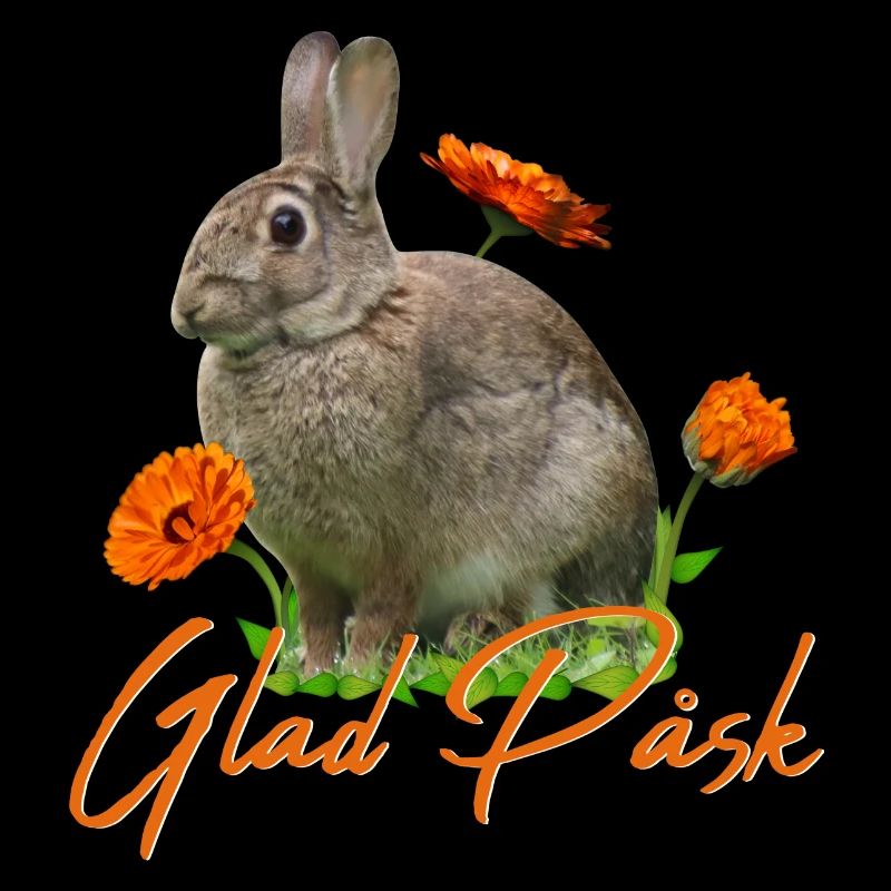 glad pask Frohe Ostern