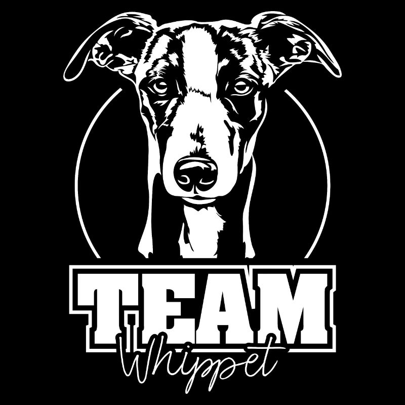 ÉQUIPE WHIPPET Chiens Lévriers Wilsigns