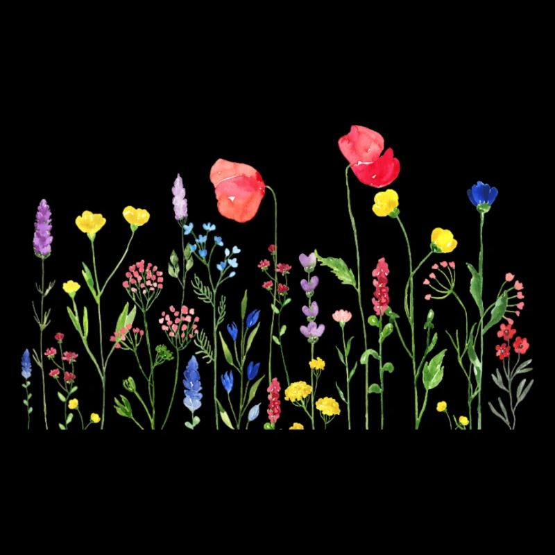 Illustration Fleurs sauvages Fleurs d’été Floraison Fl