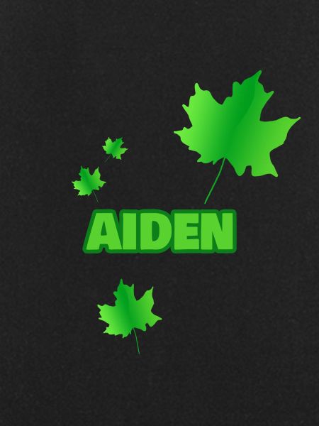 Gift for Aiden
