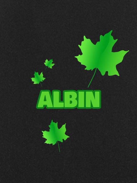 Gift for Albin