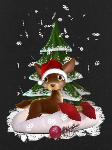 Weihnachtsgeschenk