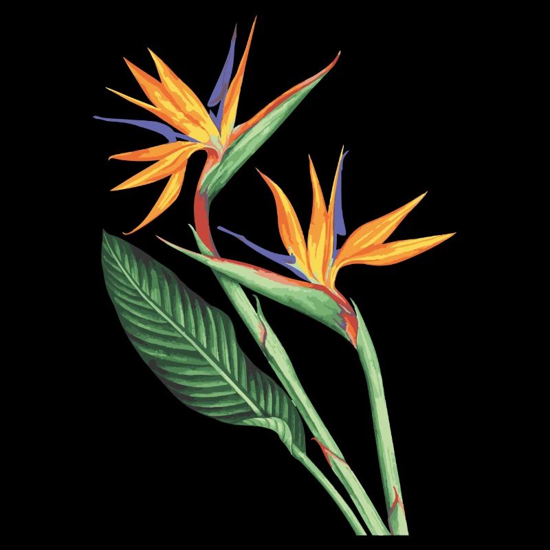 Vögel des Paradieses