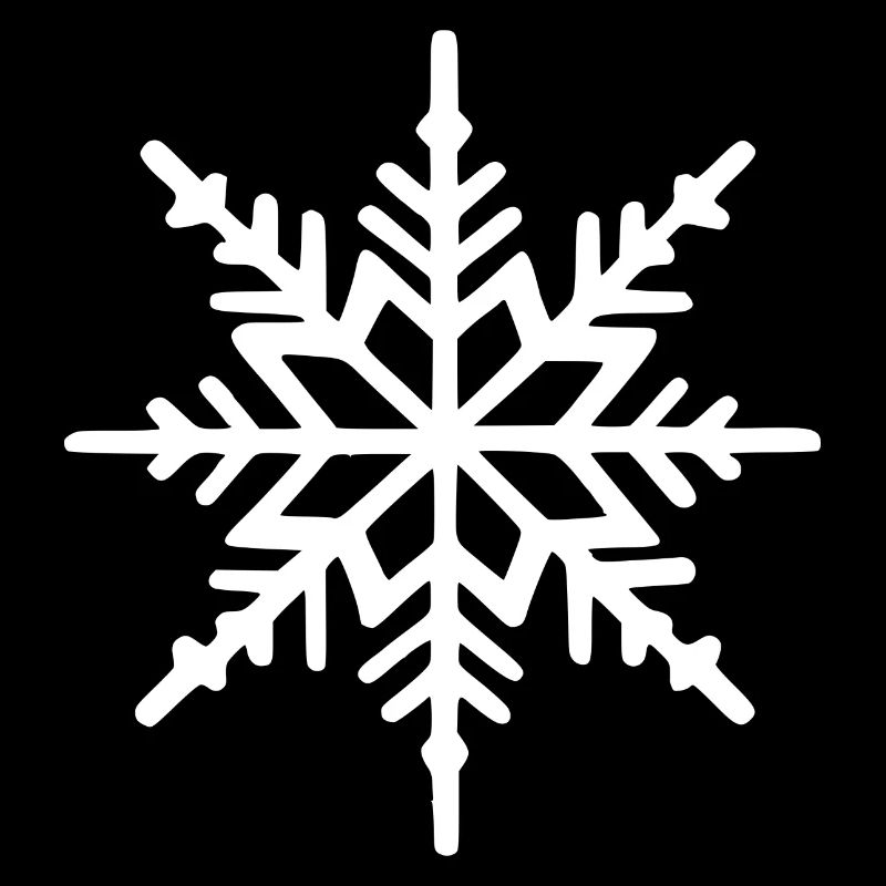 Snowflake Snow Winter Christmas Cold 17