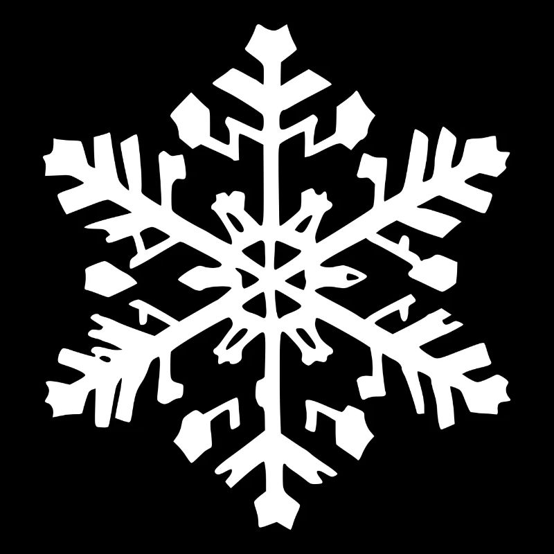 Snowflake Snow Winter Christmas Cold 06