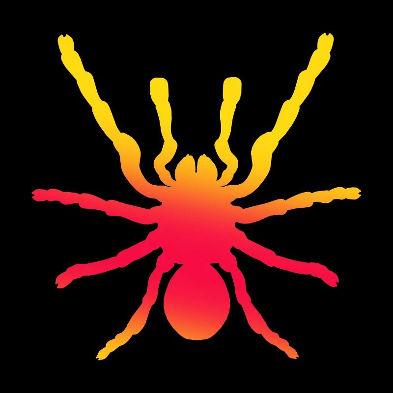 Spider, arachnid