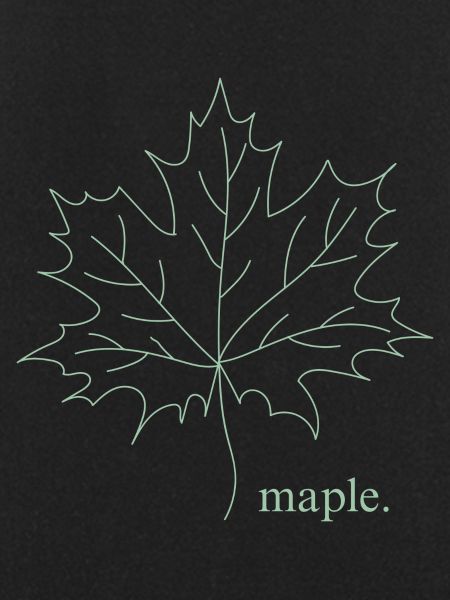 Maple.