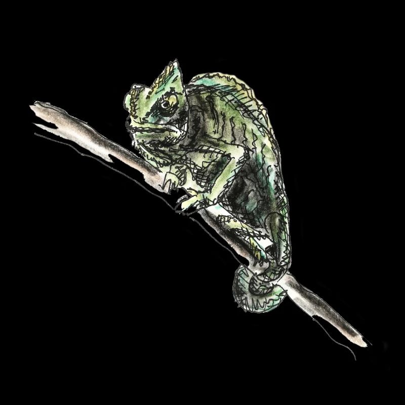 chameleon
