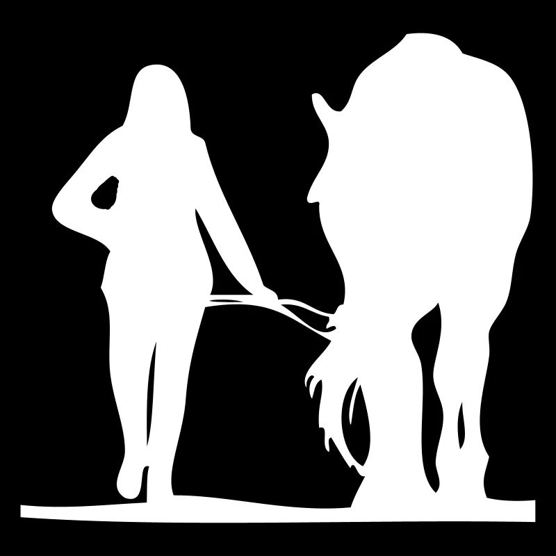 Conduite du cheval