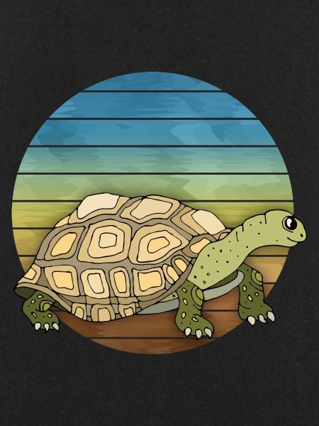 Tortoise