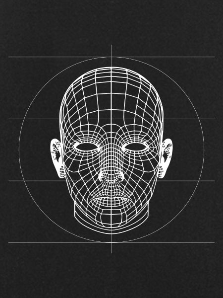 3D Wireframes Head