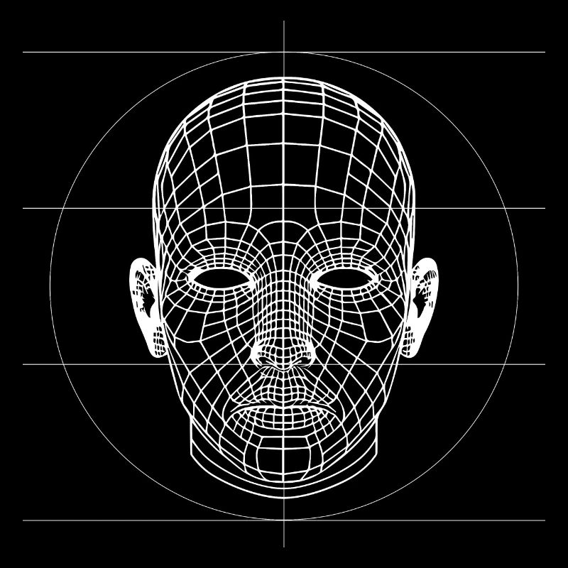 Tête de wireframes 3D