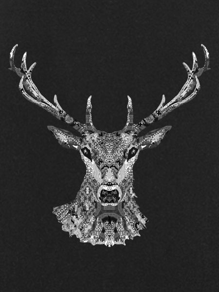 Hirsch