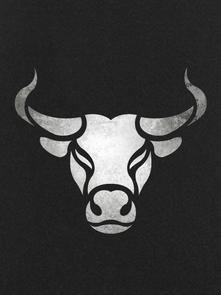 Bull bull