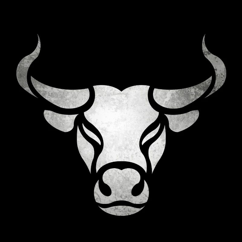 Toro toro