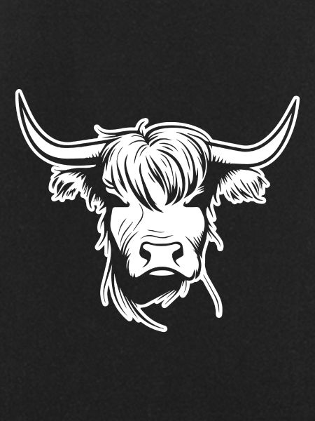 Scottish Highland cow