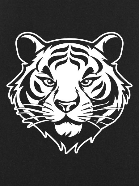 Tiger Big Cat