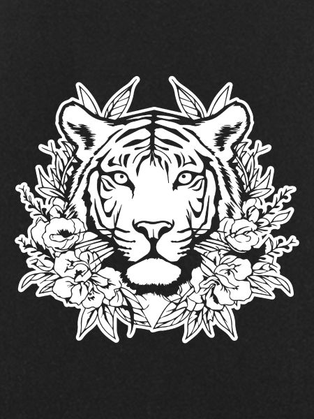Tiger Big Cat