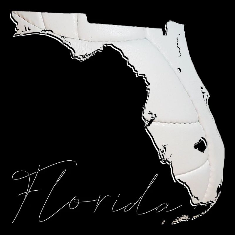 Real Volleyball in Florida State Map FL