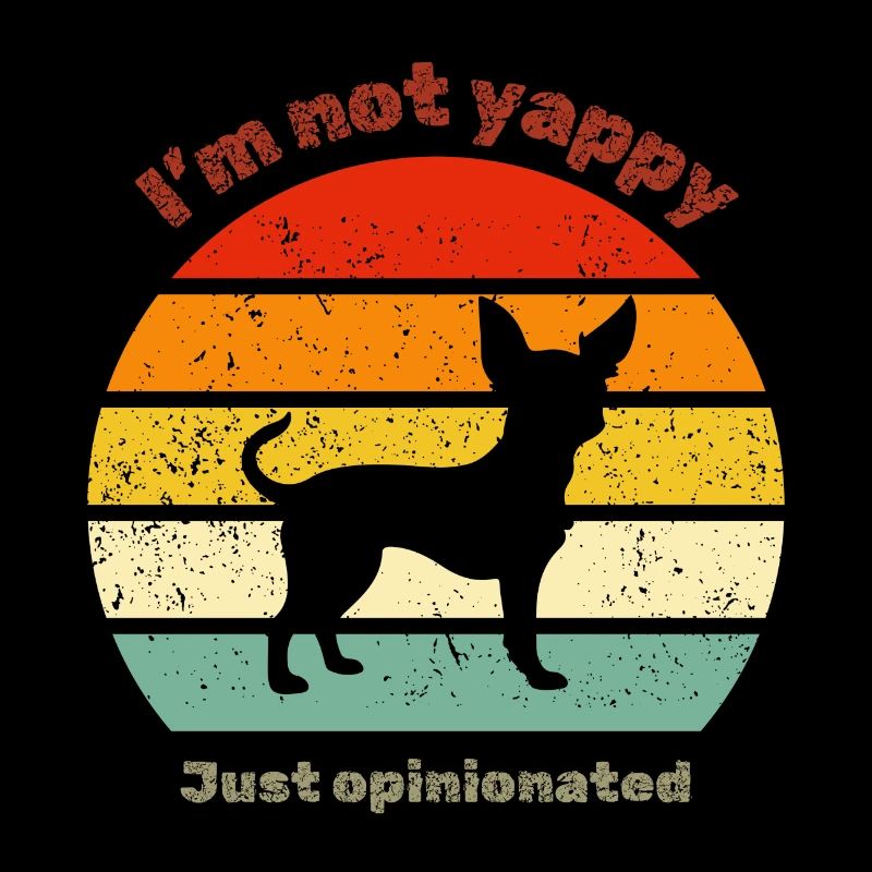 Chihuahua rétro