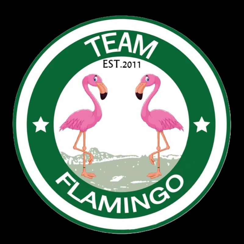 Team Flamingo