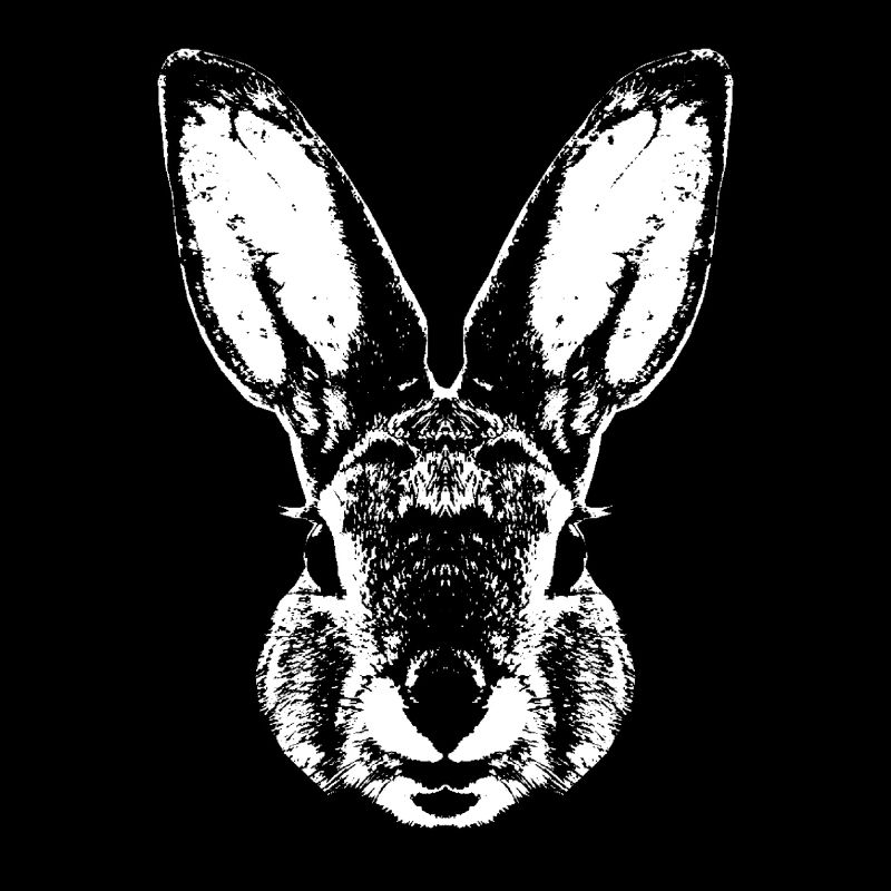 Hase / Kaninchen / Lapin