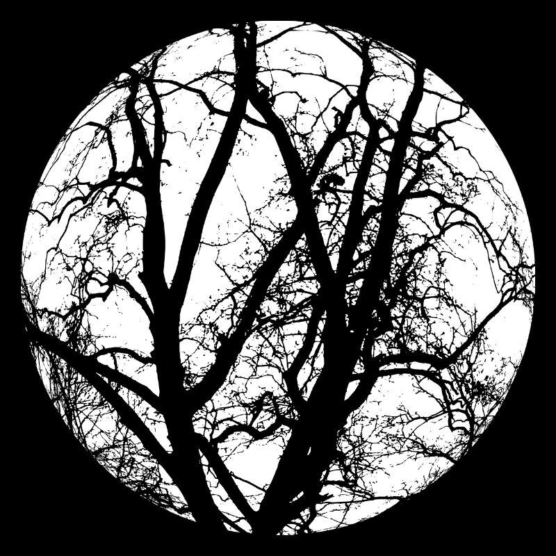 Tree branches mystical forest full moon shirt motif