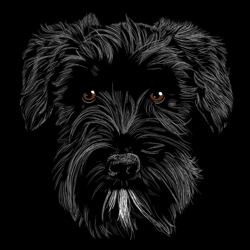 Floki miniature de Schnauzer