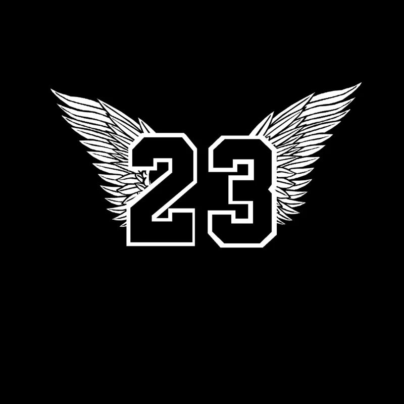 Basket numéro 23 Michael Jordan