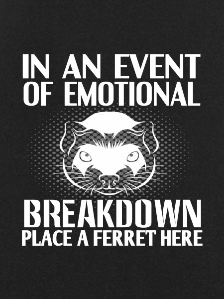 Ferret
