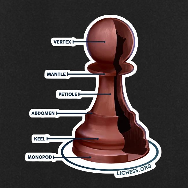 Lichess Pawn