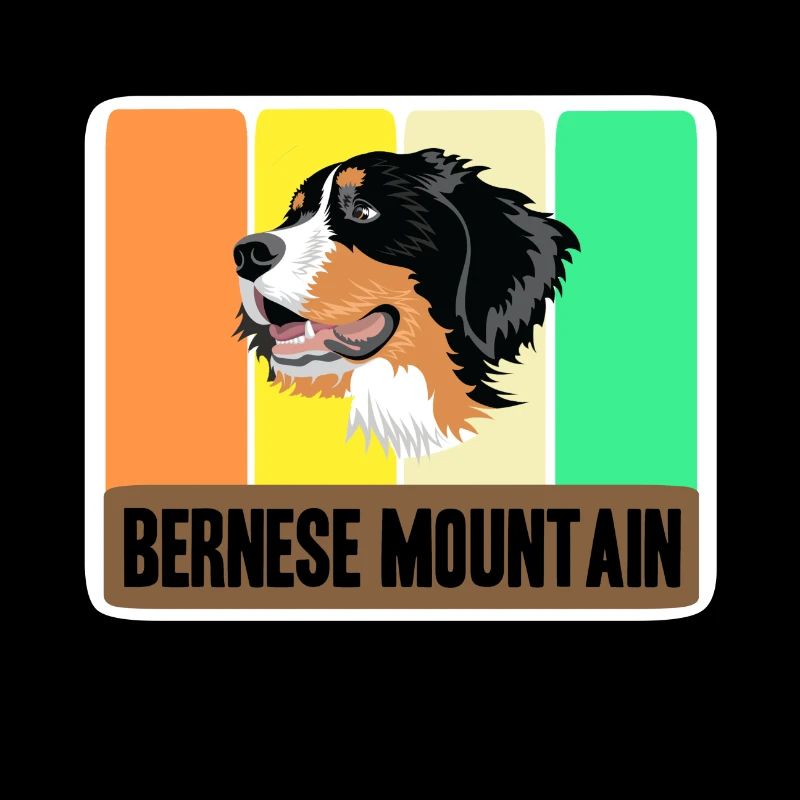 Bernese Mountain Dog