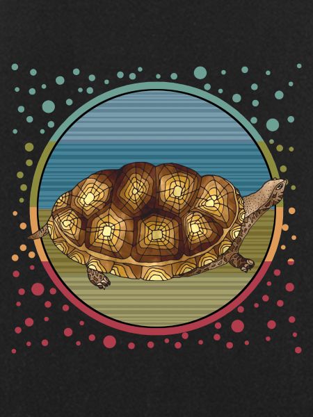 Tortoise