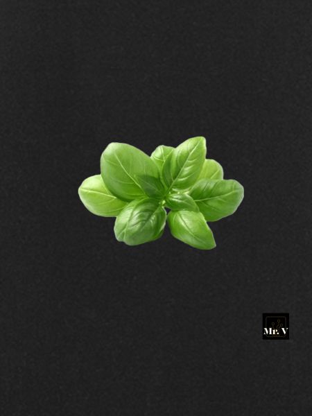 basil