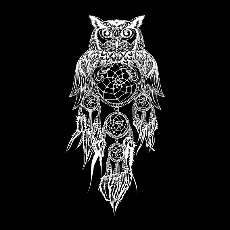 Owl dream catcher
