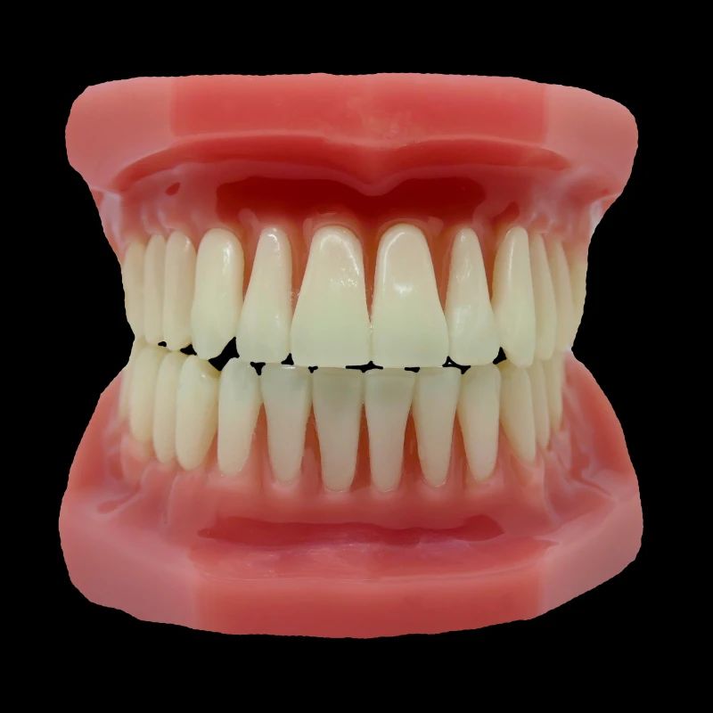 Teeth