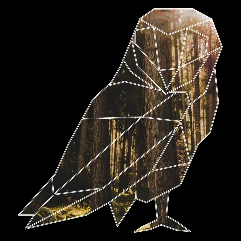 Le hibou dans la forêt