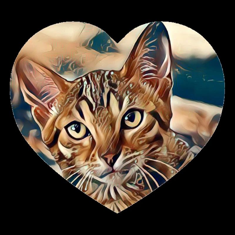 Chat