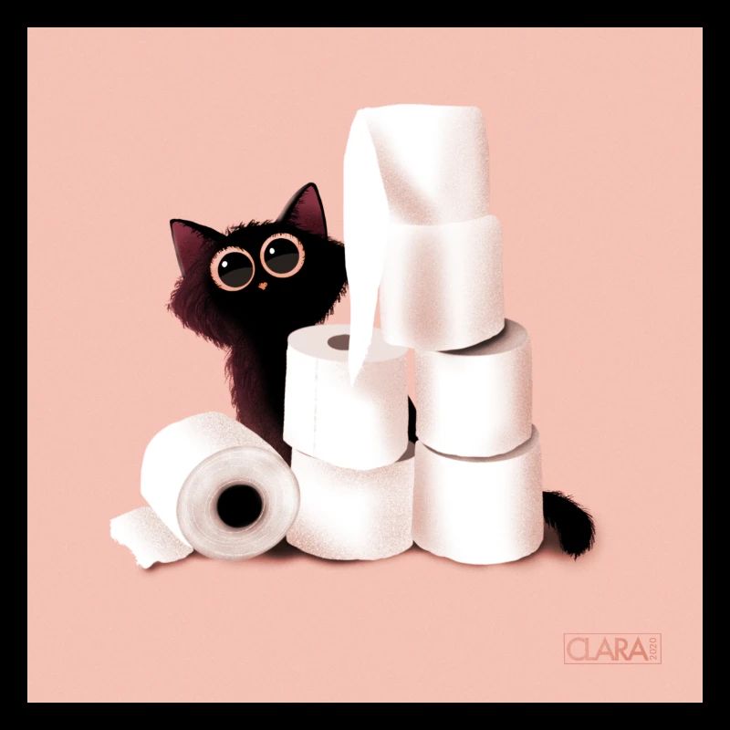 Chat noir