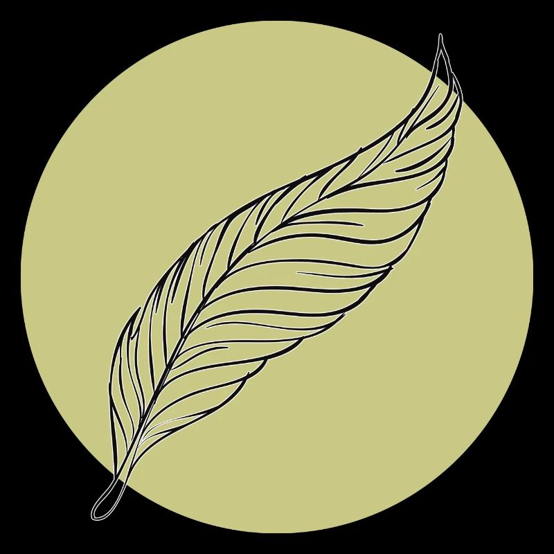 Minimal Feather Summer Trendy Colors