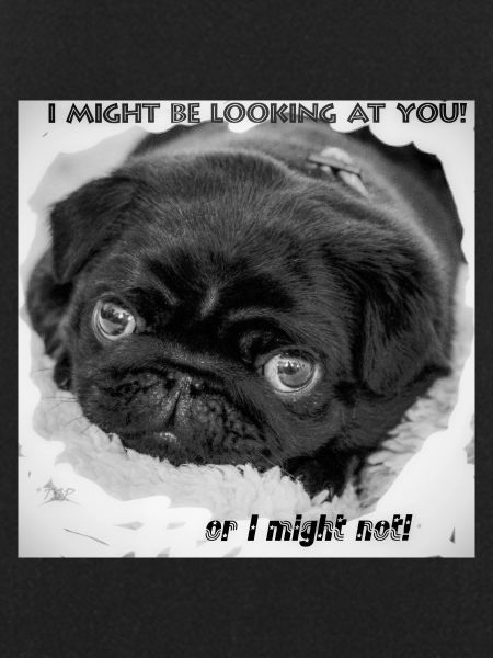 pug eyes!