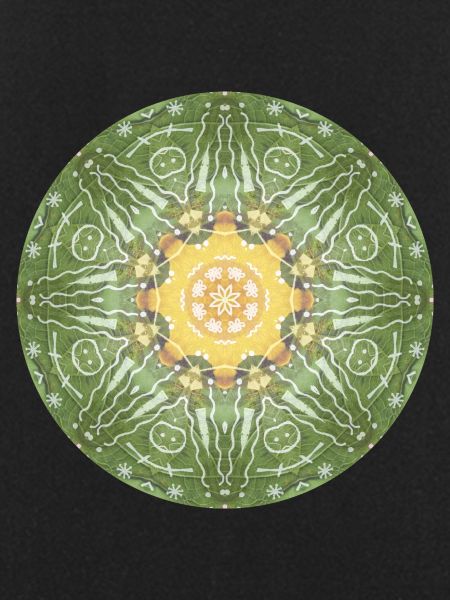 Mandala-Quantum 3