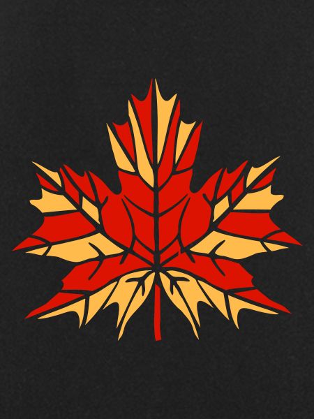 Autumn leaf