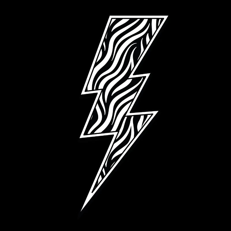 Flash zèbre