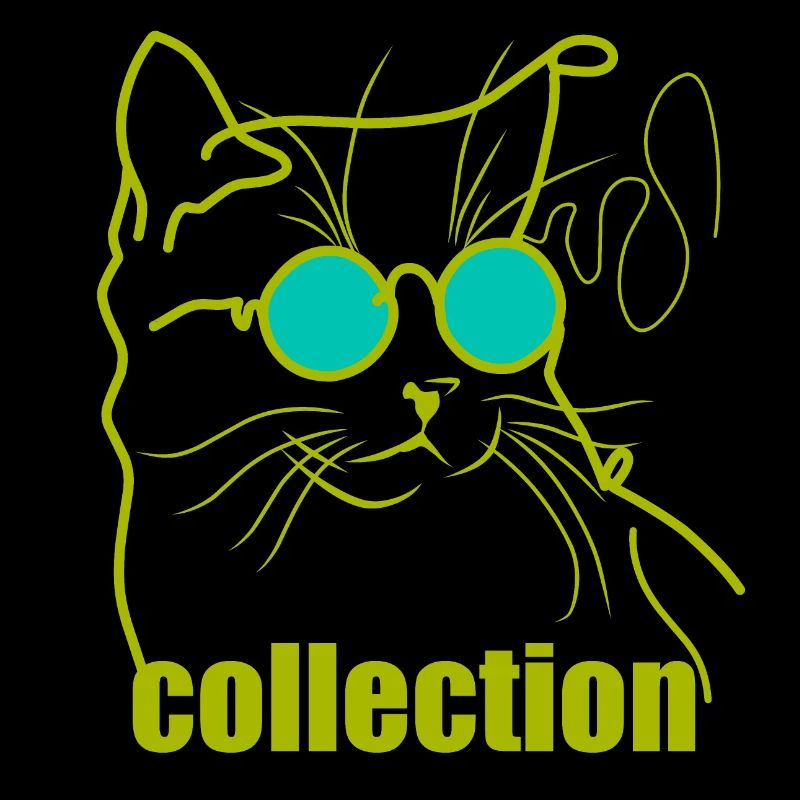 Garçon de chat