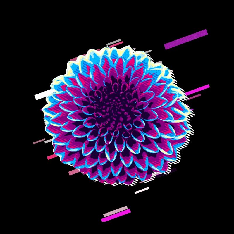 Dahlie Automne 80 Retro Violet